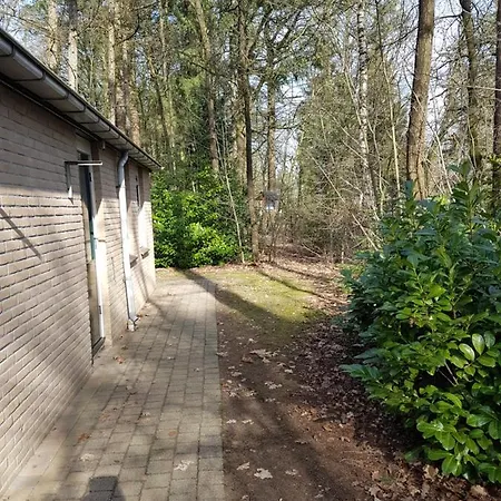 Bospark De Schaapskooi-2